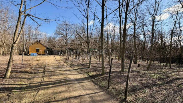 Eladó családi ház, Dabason 14.99 M Ft, 1 szobás