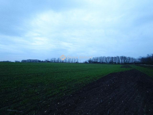 Eladó telek, Monorierdőn 49 M Ft / költözzbe.hu