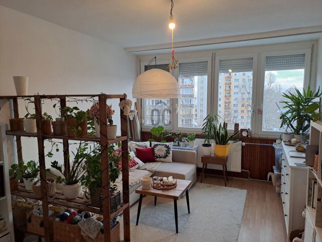 Eladó téglalakás, Kecskeméten, Petőfi Sándor utcában 52.5 M Ft