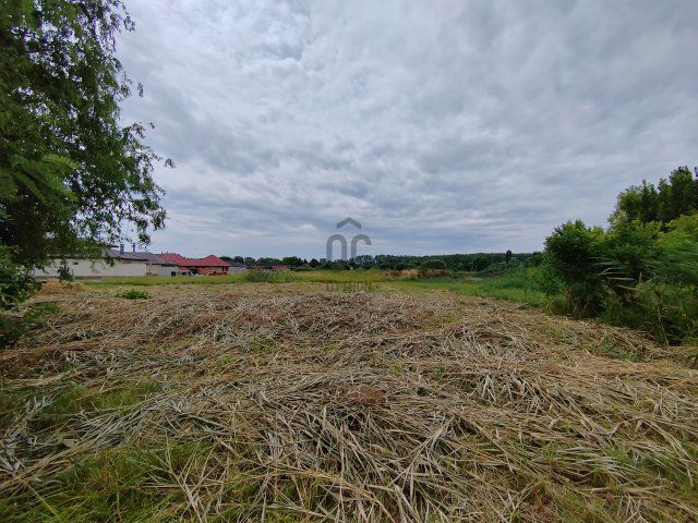 Eladó telek, Cegléden 320 M Ft / költözzbe.hu
