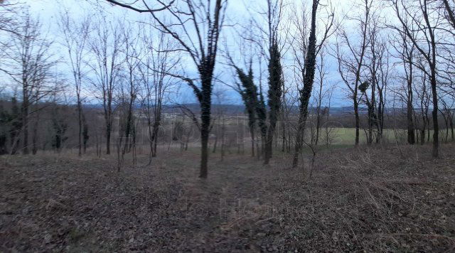 Eladó mezogazdasagi ingatlan, Zalacsányon 3.6 M Ft