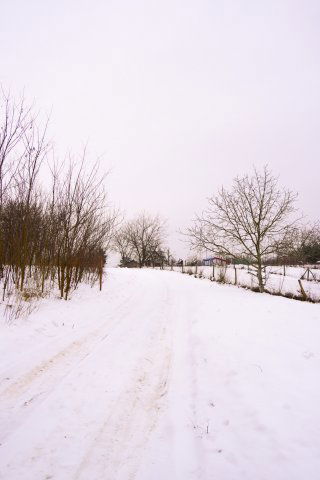 Eladó telek, Taksonyon 59.3 M Ft / költözzbe.hu