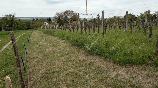 Eladó nyaraló, Nagykanizsán 14.5 M Ft, 1 szobás