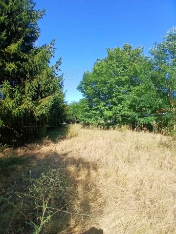 Eladó telek, Bakonytamásin 6.5 M Ft / költözzbe.hu