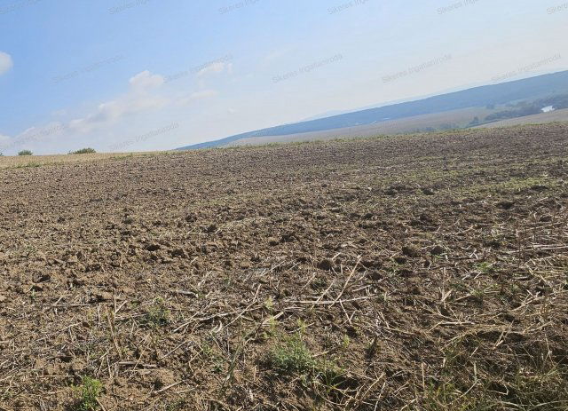 Eladó mezogazdasagi ingatlan, Szomoron 7 M Ft