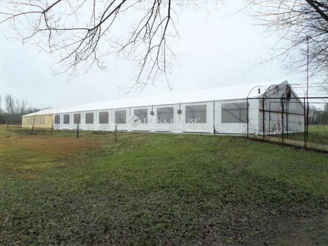 Eladó mezogazdasagi ingatlan, Bócsán 299 M Ft, 4 szobás