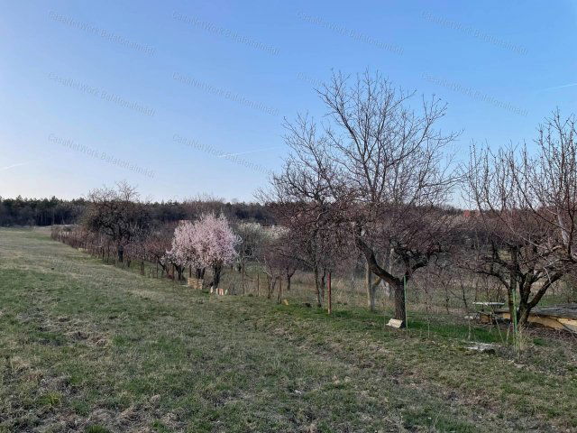 Eladó nyaraló, Balatonalmádiban 24 M Ft / költözzbe.hu