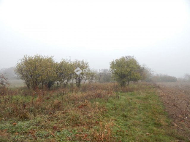 Eladó telek, Kecskeméten 43 M Ft / költözzbe.hu