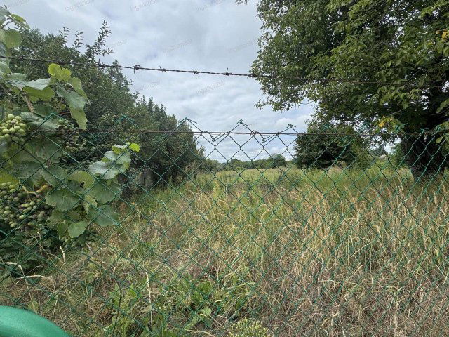 Eladó telek, Nyíregyházán 34.99 M Ft / költözzbe.hu