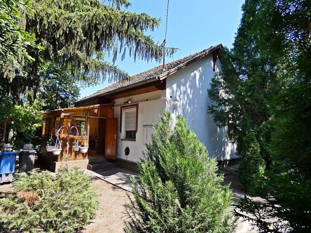 Eladó családi ház, Szatymazon 24.9 M Ft, 1 szobás