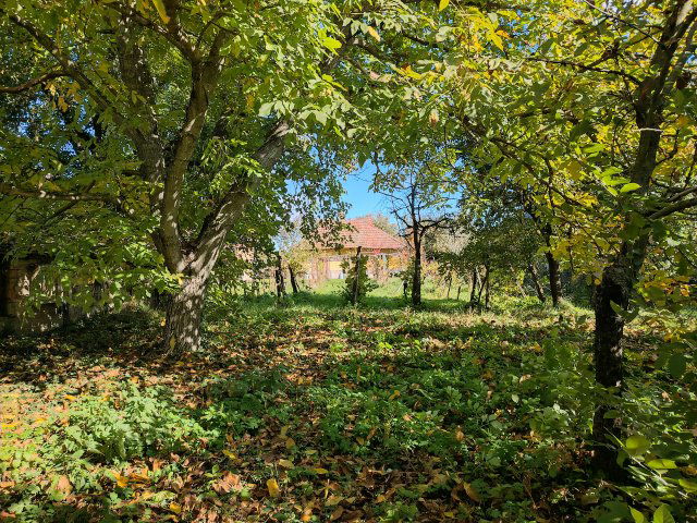 Eladó családi ház, Feldebrőn 14 M Ft, 3 szobás