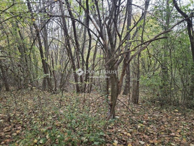 Eladó telek, Pécsett 5 M Ft / költözzbe.hu