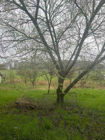 Eladó családi ház, Karancsberényben 11.5 M Ft, 3 szobás