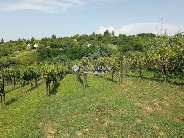 Eladó családi ház, Zalaegerszegen 15.9 M Ft, 1 szobás