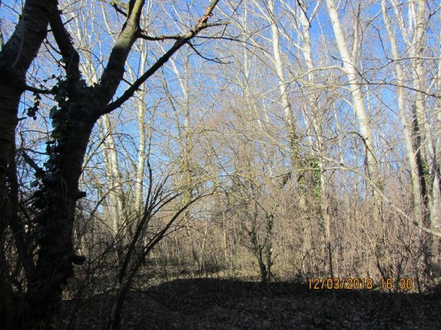 Eladó telek, Budapesten, XVII. kerületben 139 M Ft