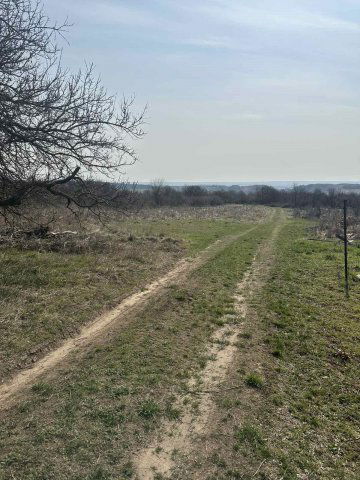 Eladó telek, Várpalotán 4.9 M Ft / költözzbe.hu