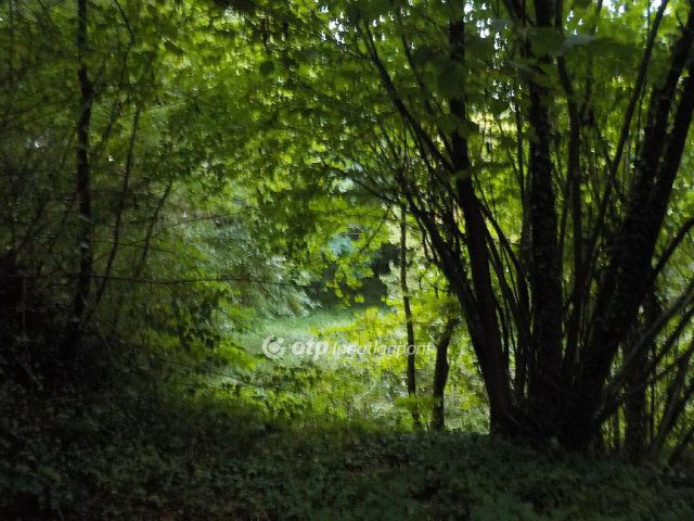 Eladó telek, Kaposváron 2.9 M Ft / költözzbe.hu