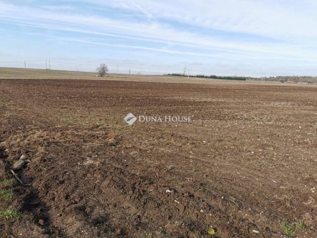 Eladó telek, Fóton, Alagi utcában 88 M Ft / költözzbe.hu