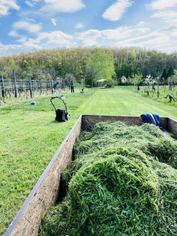 Eladó telek, Várgesztesen 6 M Ft / költözzbe.hu