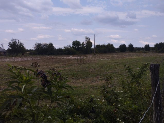 Eladó telek, Nógrádon 38 M Ft / költözzbe.hu