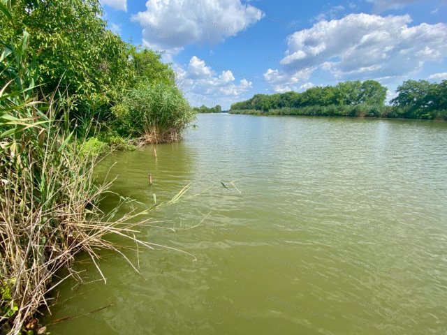 Eladó mezogazdasagi ingatlan, Békésszentandráson 12.5 M Ft