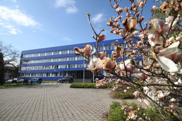 Kiadó hotel, Tatabányán 90 E Ft / hó / költözzbe.hu