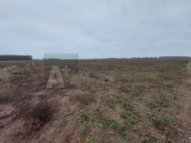 Eladó mezogazdasagi ingatlan, Balástyán 50 M Ft