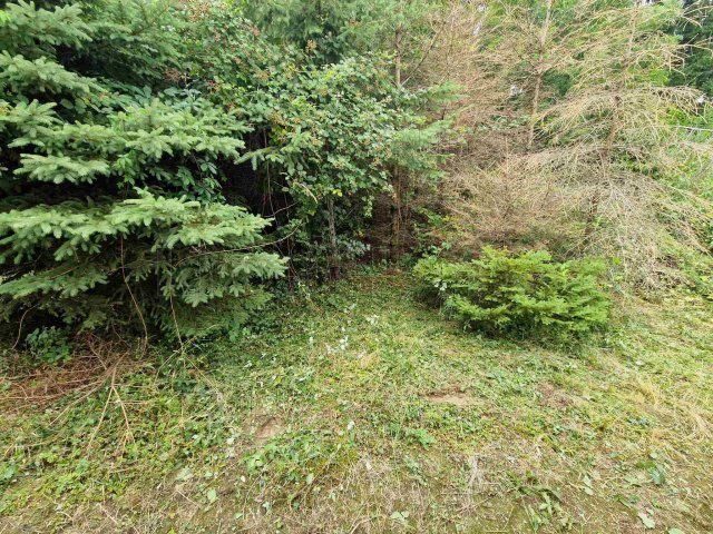 Eladó telek, Kustánszegen 2.95 M Ft / költözzbe.hu