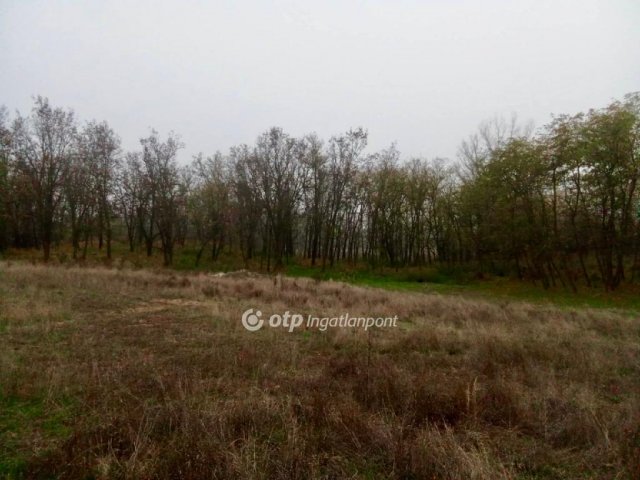 Eladó mezogazdasagi ingatlan, Rémen 14.9 M Ft