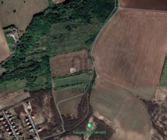 Eladó mezogazdasagi ingatlan, Galgagyörkön 1 M Ft