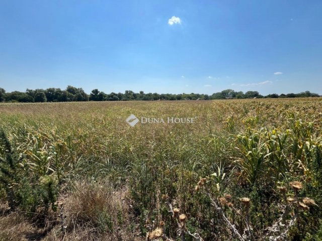 Eladó telek, Pátkán 4.5 M Ft / költözzbe.hu