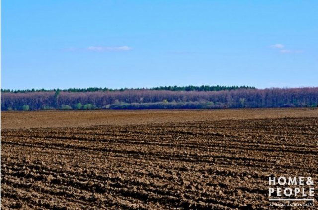 Eladó mezogazdasagi ingatlan, Tiszaszigeten 2.8 M Ft