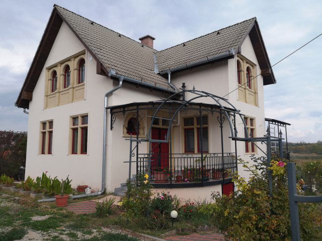 Eladó családi ház, Paloznakon 359 M Ft, 3+3 szobás