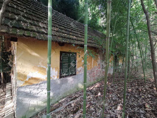 Eladó nyaraló, Homokkomáromon 2.5 M Ft, 4 szobás
