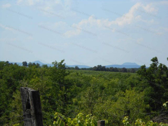 Eladó mezogazdasagi ingatlan, Balatonlelleén 17.9 M Ft