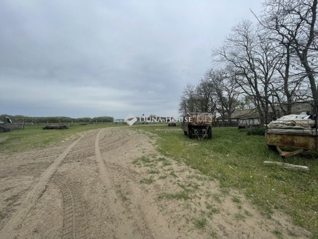 Eladó mezogazdasagi ingatlan, Domaszéken 160 M Ft