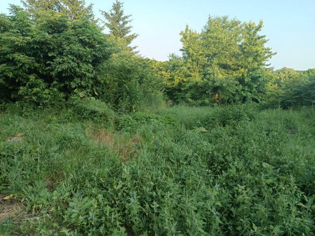 Eladó családi ház, Olaszliszkán 12 M Ft, 3 szobás