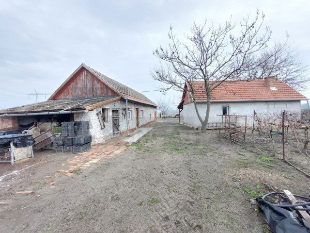 Eladó mezogazdasagi ingatlan, Röszkén 25 M Ft