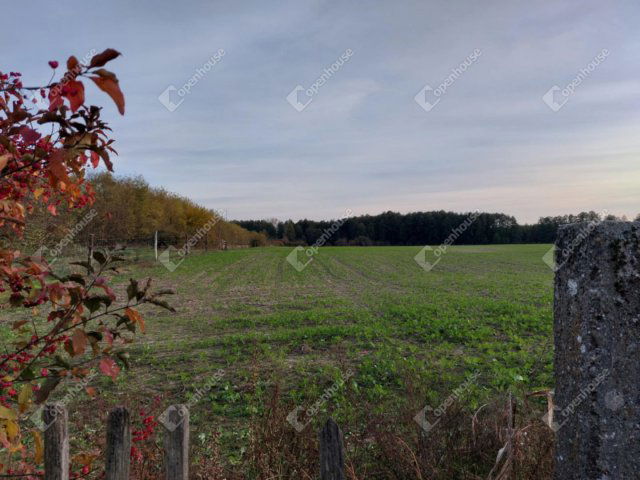 Eladó családi ház, Homokszentgyörgyön 19.5 M Ft, 3 szobás