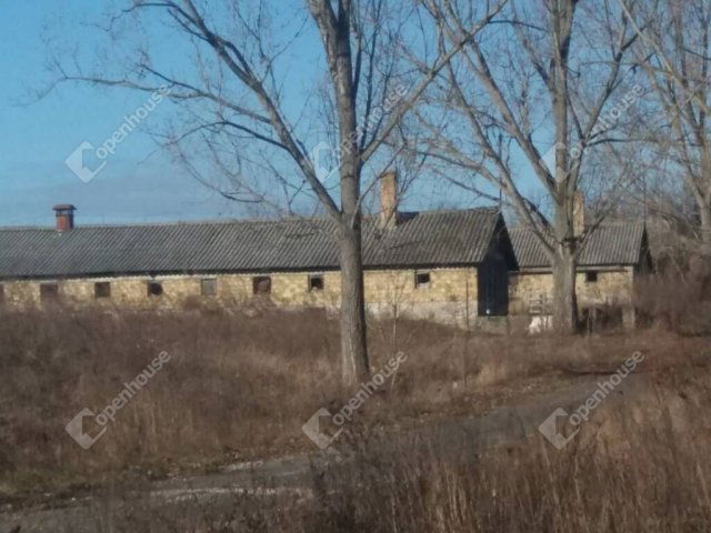 Eladó mezogazdasagi ingatlan, Bodajkon 171.45 M Ft