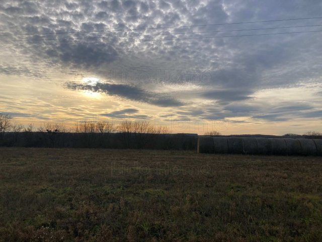 Eladó telek, Bálványoson 320 M Ft / költözzbe.hu