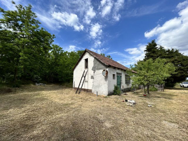 Eladó mezogazdasagi ingatlan, Tatárszentgyörgyön 8.5 M Ft