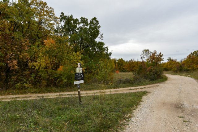 Eladó telek, Pécselyen 24.99 M Ft / költözzbe.hu