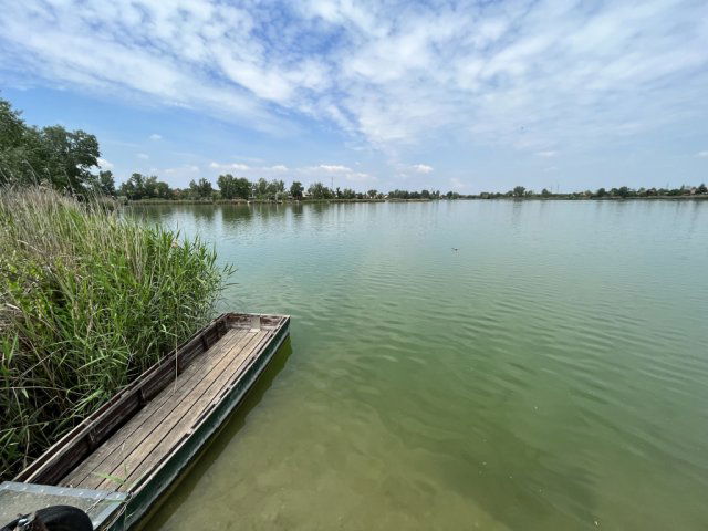 Eladó telek, Délegyházán 26.8 M Ft / költözzbe.hu