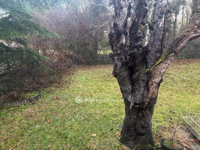 Eladó családi ház, Budapesten, II. kerületben 244.336 M Ft