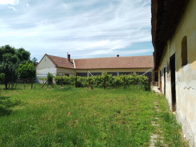 Eladó családi ház, Vésztőn 19.9 M Ft, 4 szobás