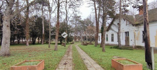 Eladó családi ház, Hódmezővásárhelyen 250 M Ft, 5 szobás