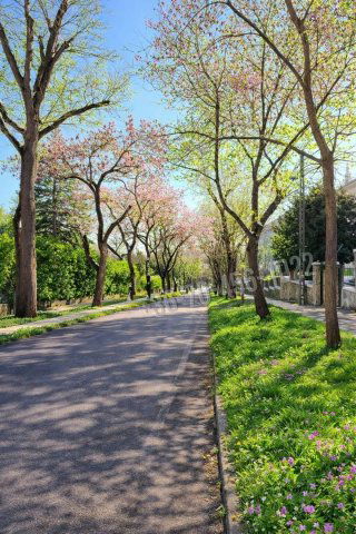 Eladó téglalakás, Budapesten, XII. kerületben 398 M Ft, 3 szobás