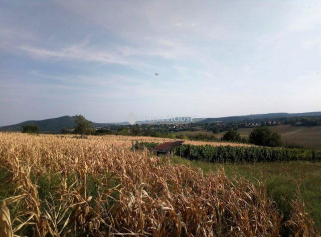 Eladó telek, Bajnán 2.99 M Ft / költözzbe.hu