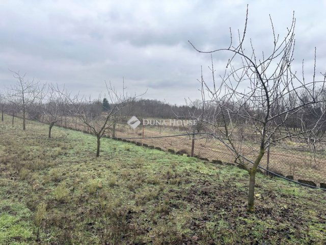 Eladó telek, Nyíregyházán 8.3 M Ft / költözzbe.hu